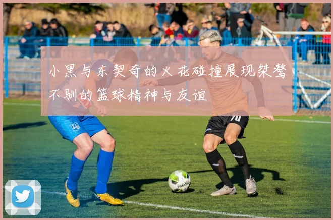 小黑与东契奇的火花碰撞展现桀骜不驯的篮球精神与友谊