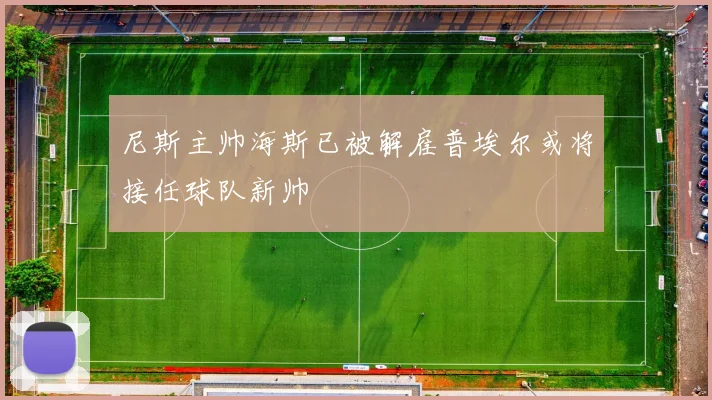 尼斯主帅海斯已被解雇普埃尔或将接任球队新帅
