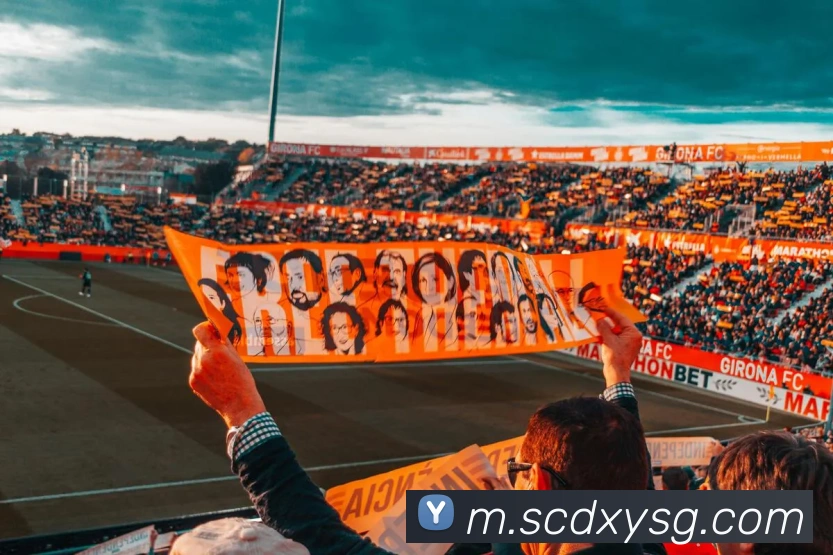 体育直播服务